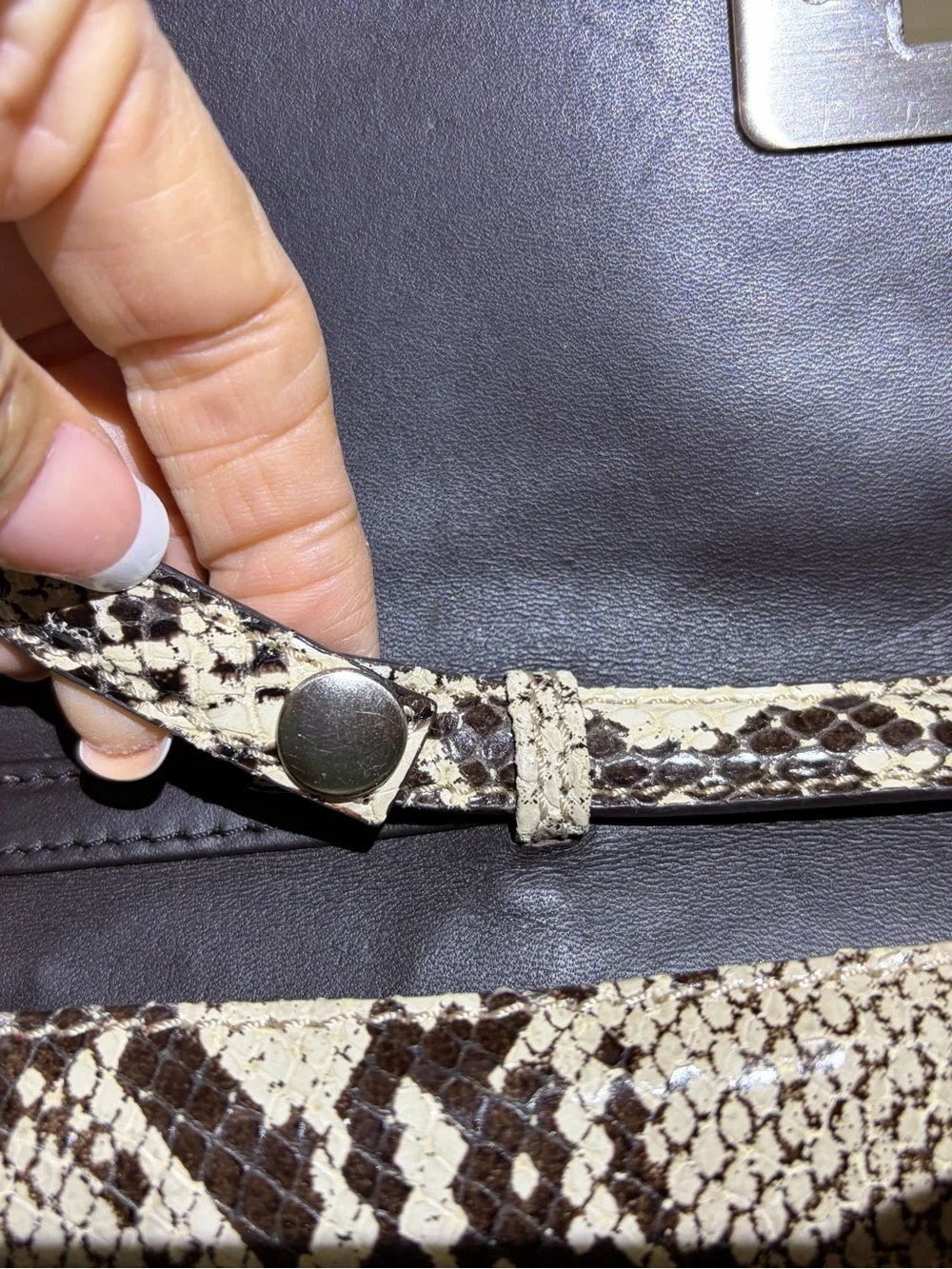Donald J Pliner Snakeskin & Leather Clutch Cutch Removable Strap & Dust Cover
